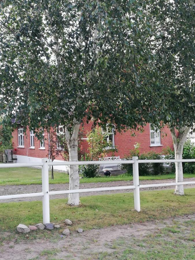 Tankefuld Living'S Horsefarm Appartement Svendborg Buitenkant foto